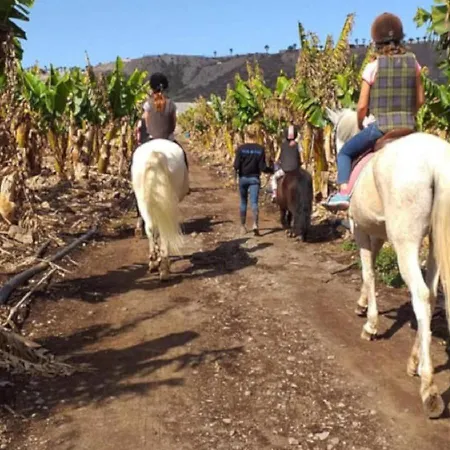 Appartement Casa Tayri De Tamaide Tenerife Sur *