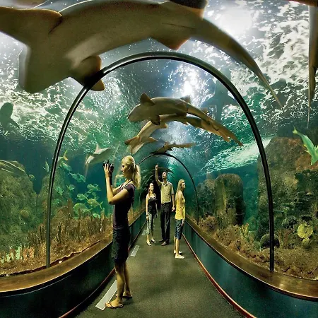 Casa Tayri De Tamaide Tenerife Sur San Miguel de Abona