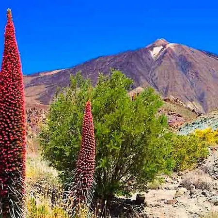 Casa Tayri De Tamaide Tenerife Sur *