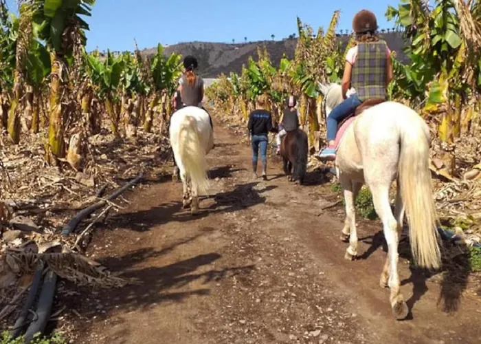 Διαμέρισμα Casa Tayri De Tamaide Tenerife Sur *