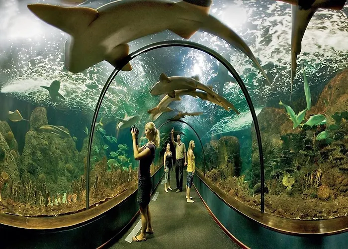 Casa Tayri De Tamaide Tenerife Sur Σαν Μιγκέλ ντε Αμπόνα