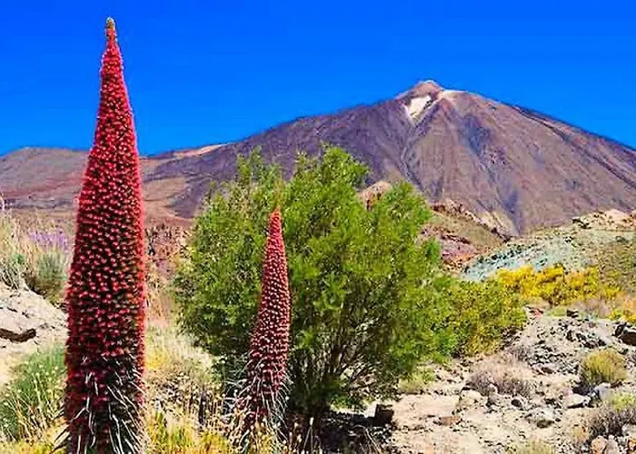 Casa Tayri De Tamaide Tenerife Sur *